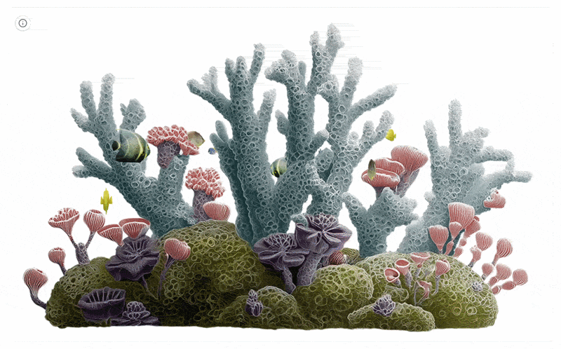 WebGL Architect reef animation